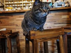 -云端咖啡私房店(河松街店)