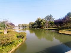 -石家庄市植物园