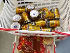 -赵一鸣零食(广东佛山大沥镇嘉洲店)