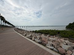 -宝安西湾红树林湿地公园