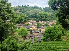 -杨家堂村