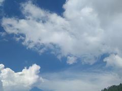 -武陵山森林公园