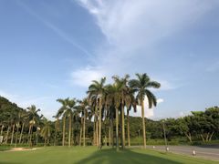 -美的鹭湖森林度假区