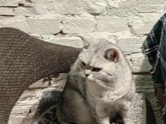 -不舍昼夜咖啡馆