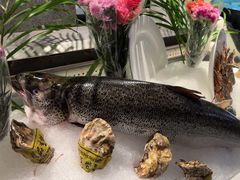 -Mr·Fish鱼鲜生海鲜放题(银泰in99店)