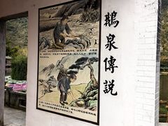 -靖西鹅泉风景区