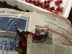 -Dr.t茶博士(广技师店)