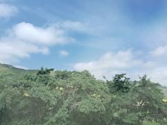 -扁都口生态休闲旅游区