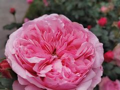 -人民公园(罗湖区)