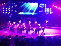 -珠海横琴长隆《卡卡虎奇遇记》