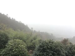 -冶父山国家森林公园