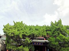 -蓬莱阁景区