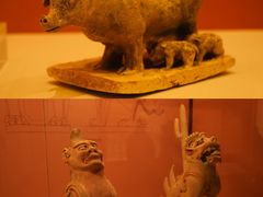 -安阳博物馆