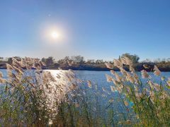 -大兴滨河森林公园