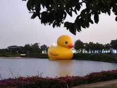 -深圳湾公园(南山区)