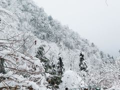 -九峰山