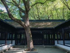 -上海醉白池公园