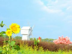 android_upload_pic-北京东方普罗旺斯薰衣草庄园