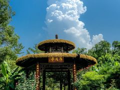 -东湖落雁景区