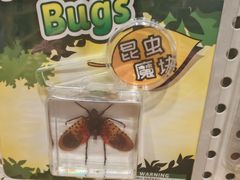 -猫的天空之城概念书店(印象城购物中心店)