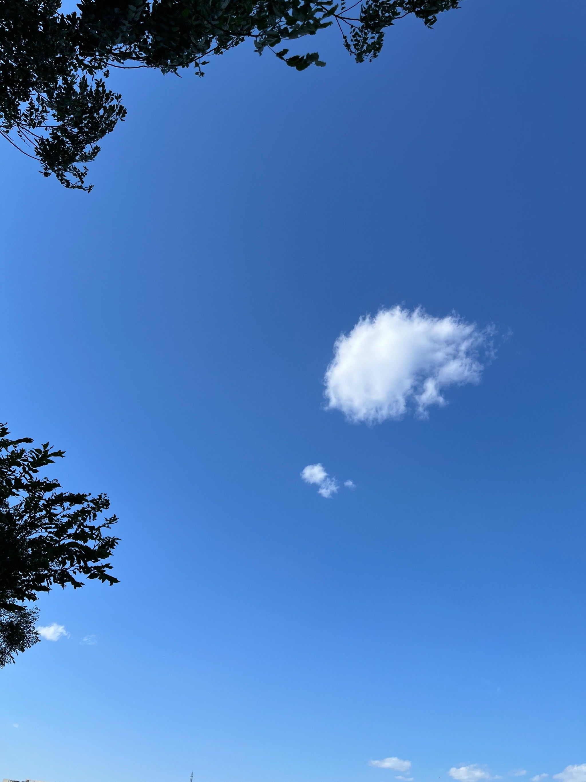 雨后天晴的蓝天白云绿树