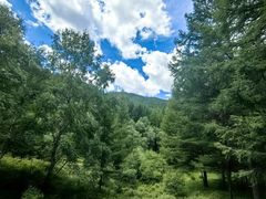 -苏木山森林公园