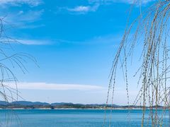 -洈水景区
