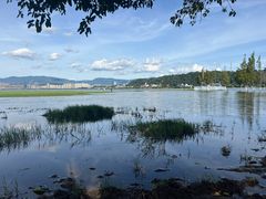 -洱海月湿地公园