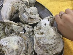 桑拿蚝-蚝专家(北滘店)