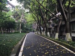 -黄桷坪涂鸦艺术街