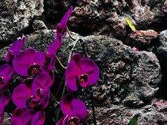 -南通洲际绿博园