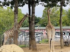 -大连森林动物园