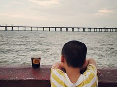 -宝安西湾红树林湿地公园