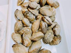 花蛤-蔚海之都·象山蒸汽海鲜(仙霞路店)