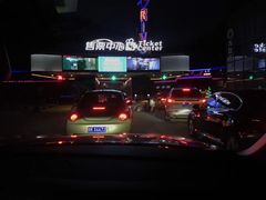 -枫花园汽车电影院(朝阳公园店)
