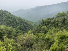 -素山寺森林公园