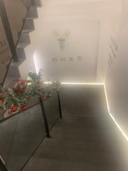 -蚂蚁造型俱乐部