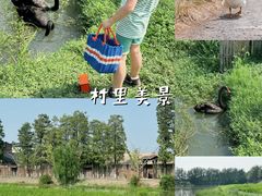 -乌村