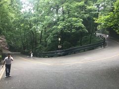 -茶颜悦色(岳麓山顶店)