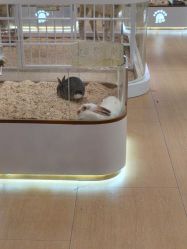 -小象动悟公园(龙湖亦庄天街店)