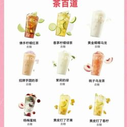 -Fundi张玉珊修身堂·indiba·BTL科技瘦身