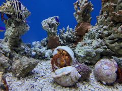 -海合安武汉极地海洋公园