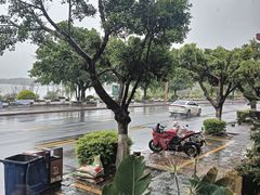 -野菌皇海景野生菌火锅(滨海大道店)