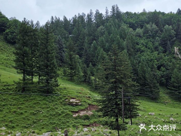 五台山风景名胜区图片