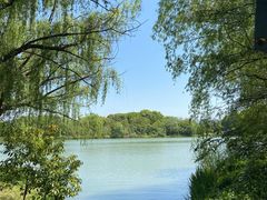 -苏州太湖国家湿地公园
