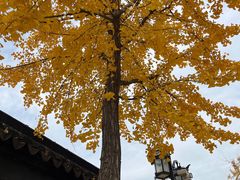 -西园戒幢律寺