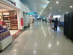 -胡志明新山一国际机场