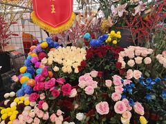 -越秀西湖花市(广州城市广场花卉店)