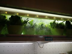 -百味源炭火烤翅 ·夜市大排档(酒仙桥店)