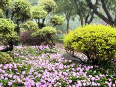 -广州莲花山旅游区